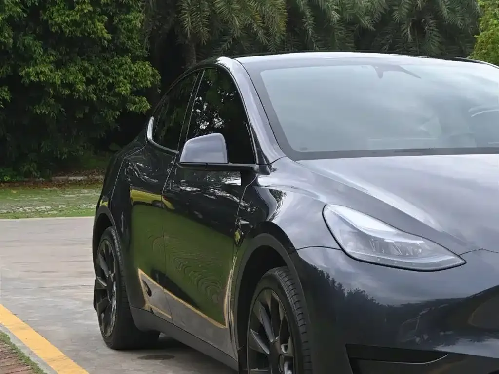 Tesla Model Y — фото 9