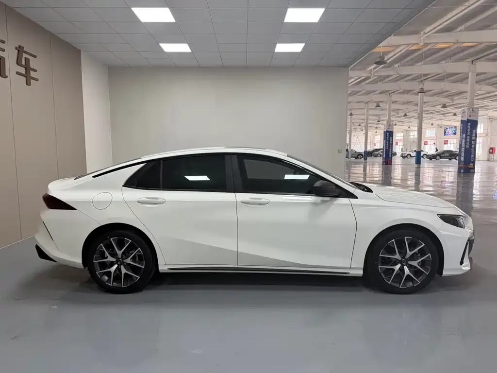 GAC Motor Shadow Leopard — фото 10