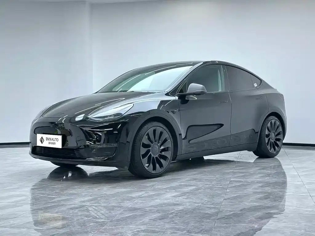 Tesla Model Y — фото 1