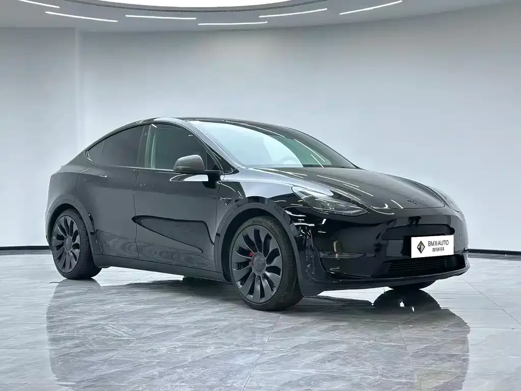Tesla Model Y — фото 8