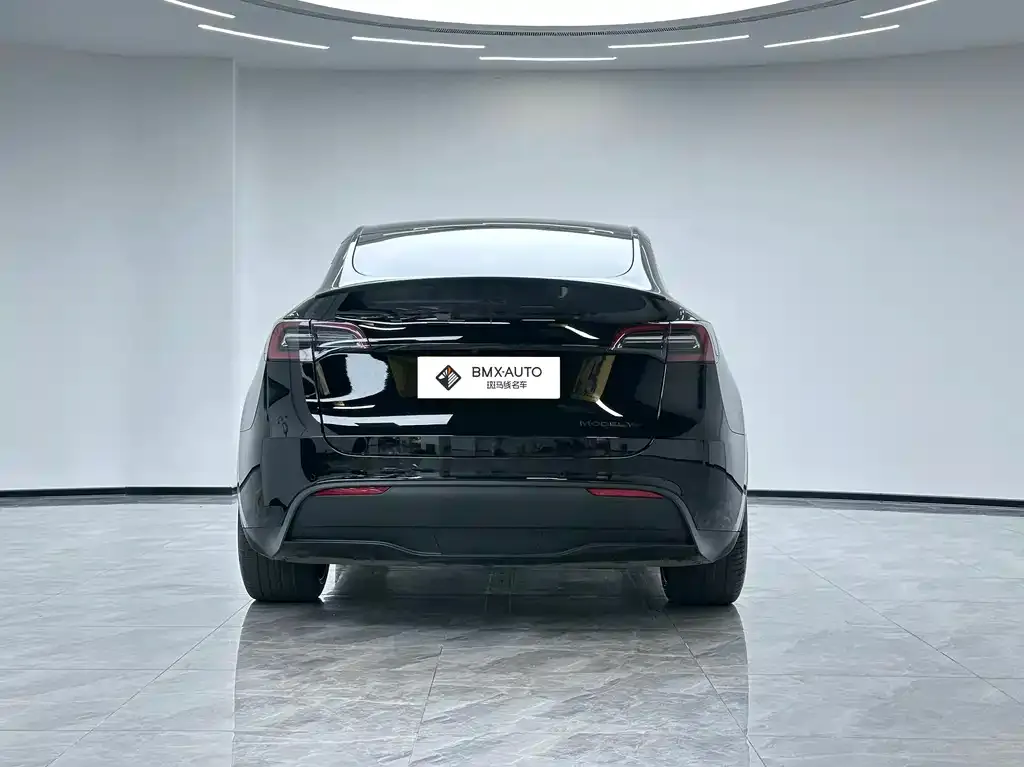 Tesla Model Y — фото 9