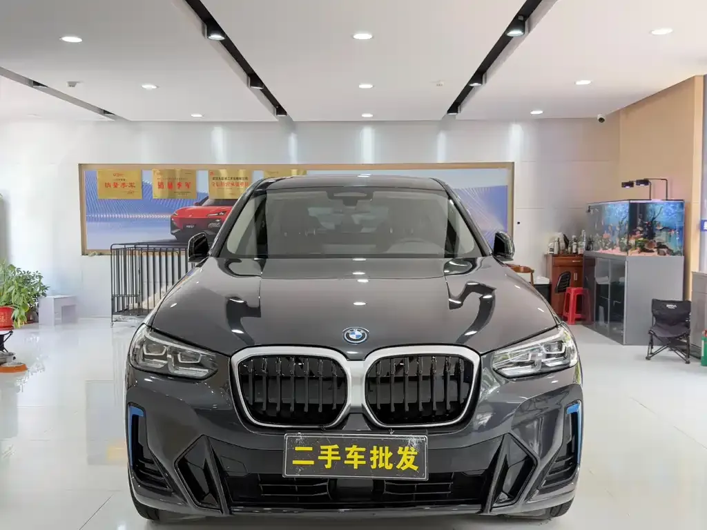 BMW iX3 2021 из CN, фото 2