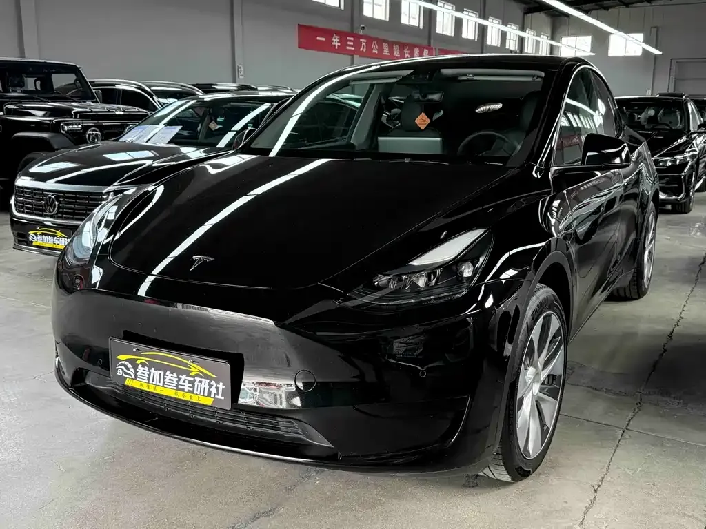 Tesla Model Y — фото 1