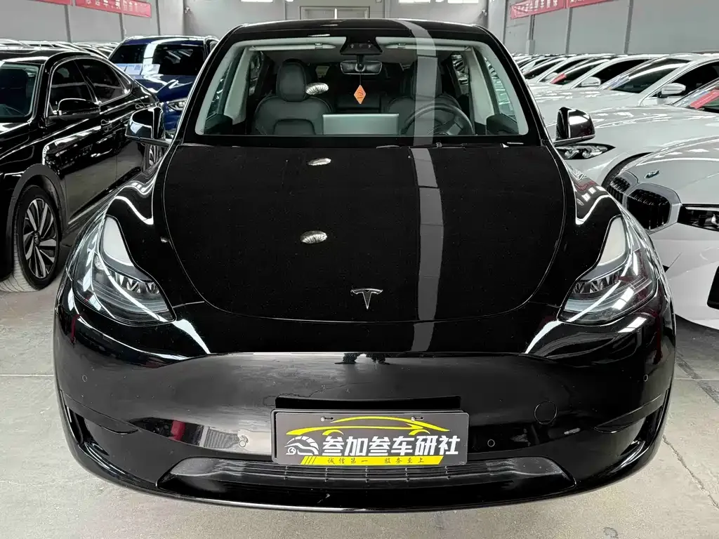 Tesla Model Y — фото 2