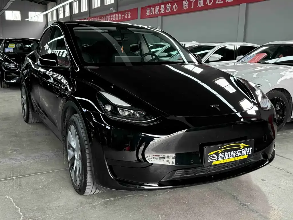 Tesla Model Y — фото 3