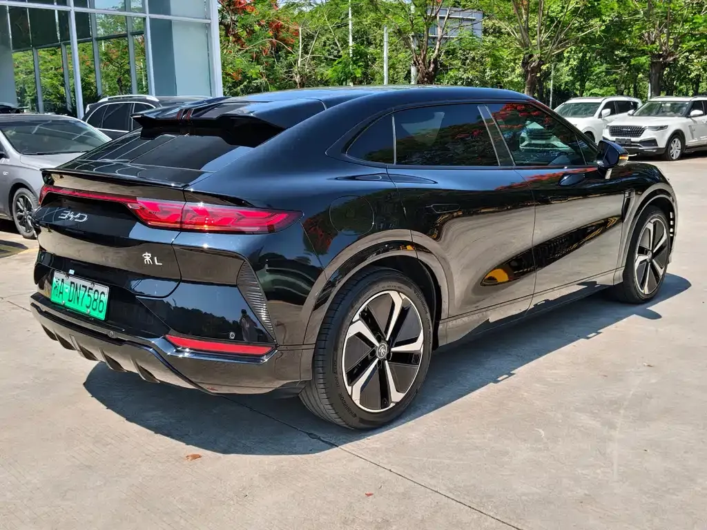 BYD L EV 2024 из CN, фото 9