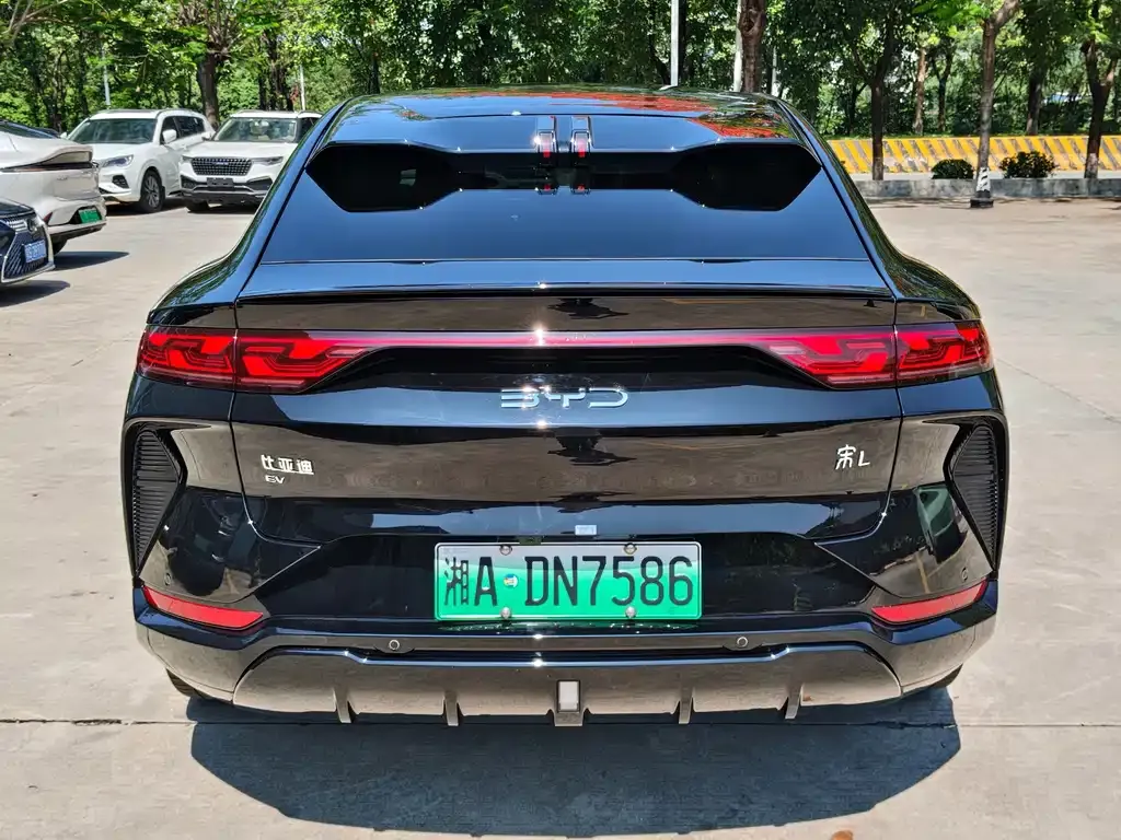 BYD L EV 2024 из CN, фото 8