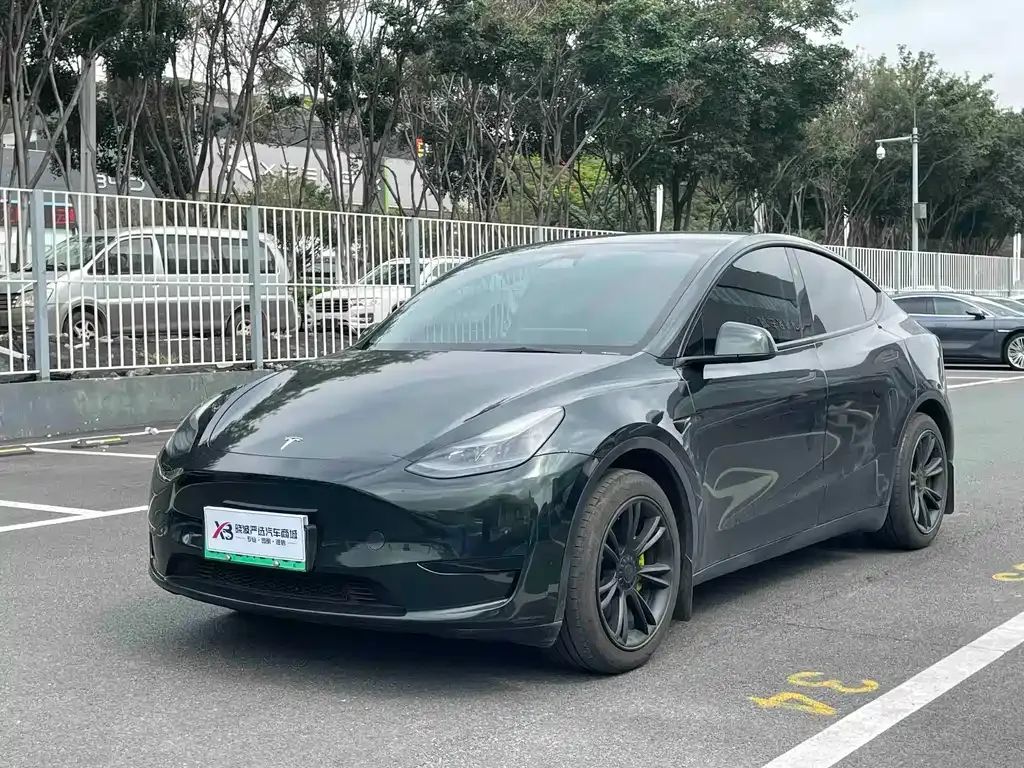 Tesla Model Y — фото 5