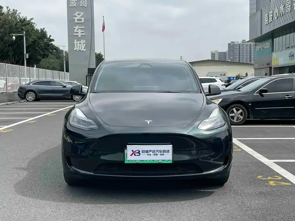 Tesla Model Y — фото 8