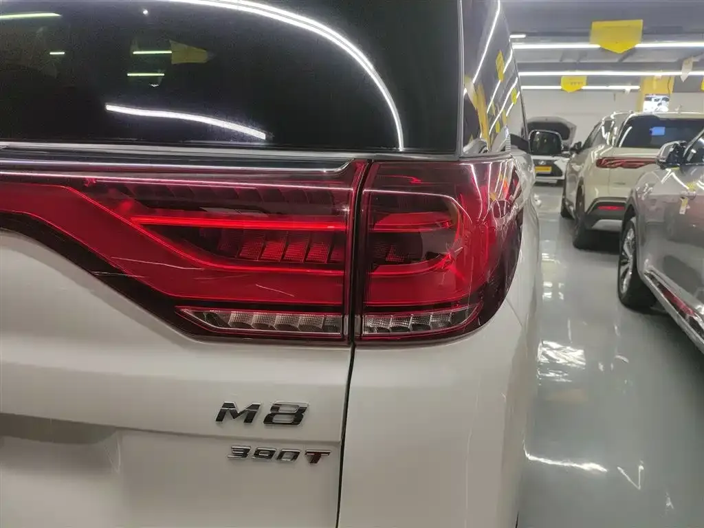 GAC Motor Trumpchi M8 — фото 3