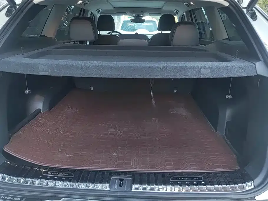 Volkswagen Tavendor 2024 из CN, фото 10