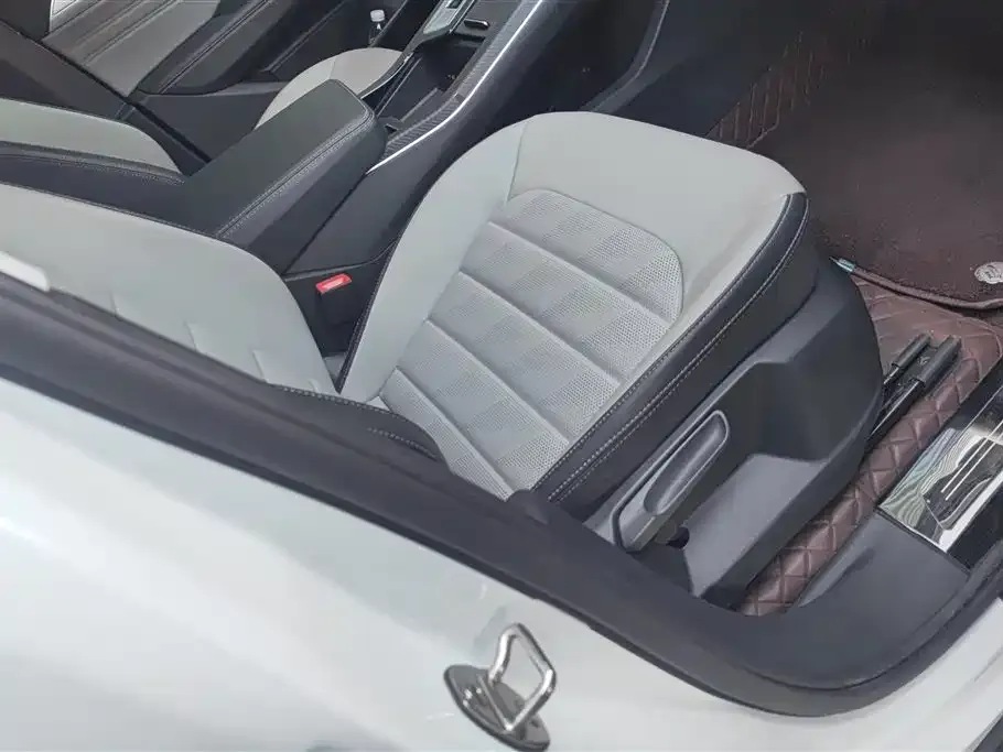 Volkswagen Tavendor 2024 из CN, фото 3