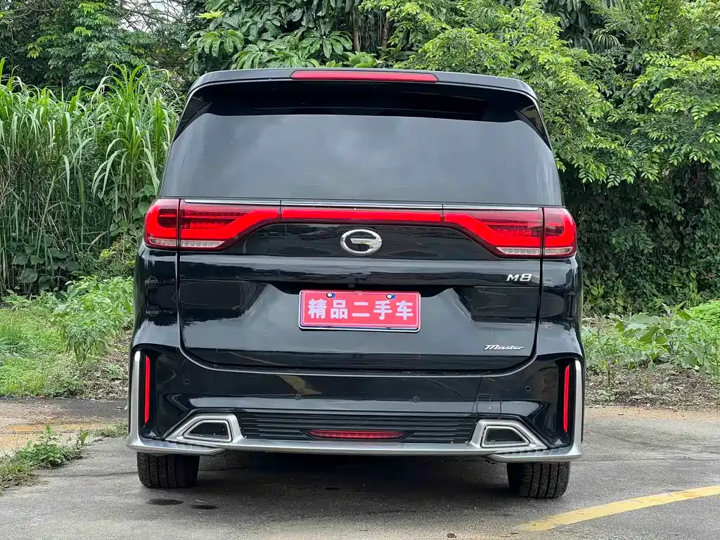GAC Motor Trumpchi M8 2022 из CN, фото 9
