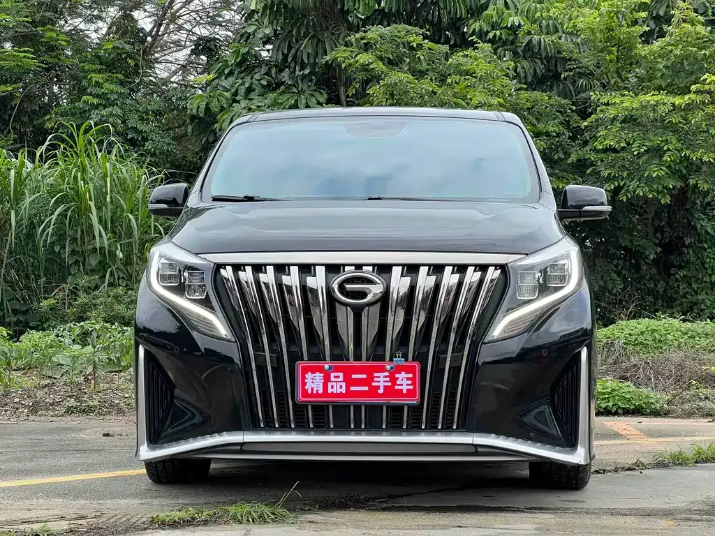 GAC Motor Trumpchi M8 2022 из CN, фото 8