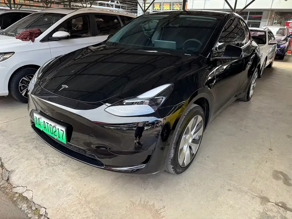 Tesla Model Y — фото 1