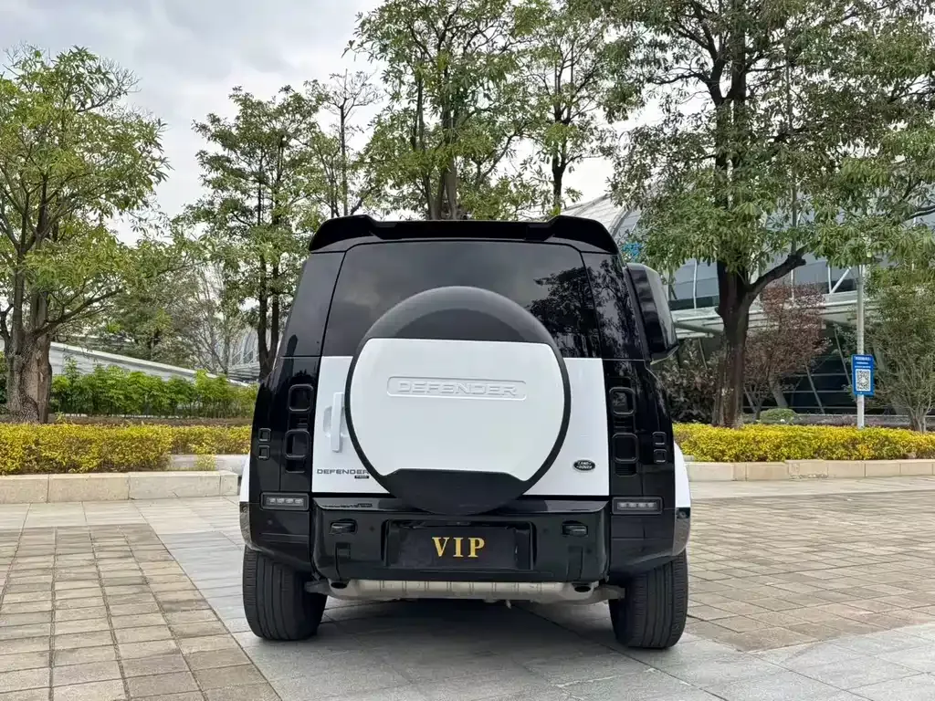 Land Rover Defender 2021 из CN, фото 9