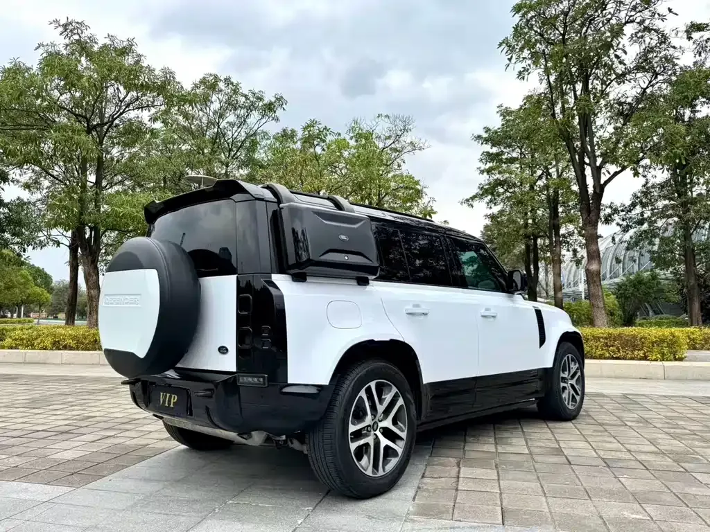 Land Rover Defender 2021 из CN, фото 8