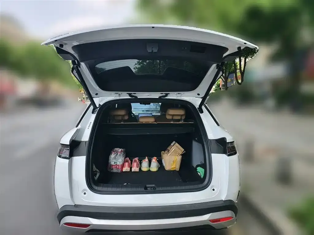 BYD L DM-i — фото 2