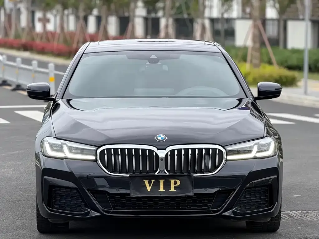 BMW 5 Series (Import) 2022 из CN, фото 6