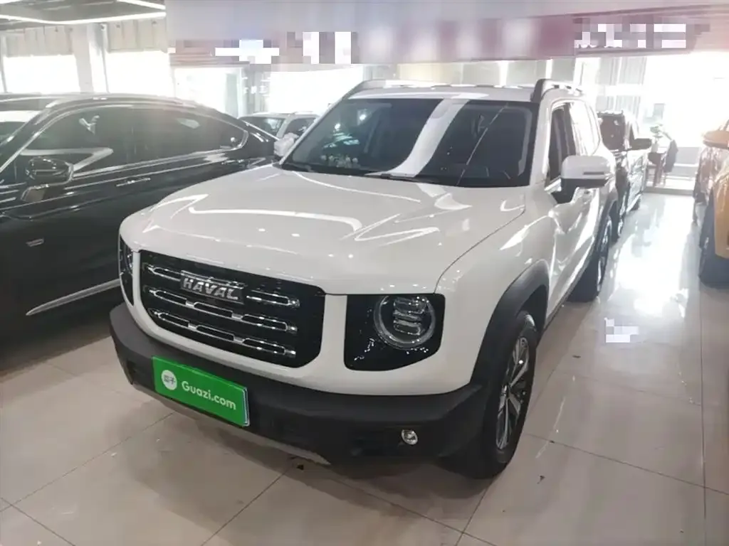 Haval Big Dog 2022 из CN, фото 7