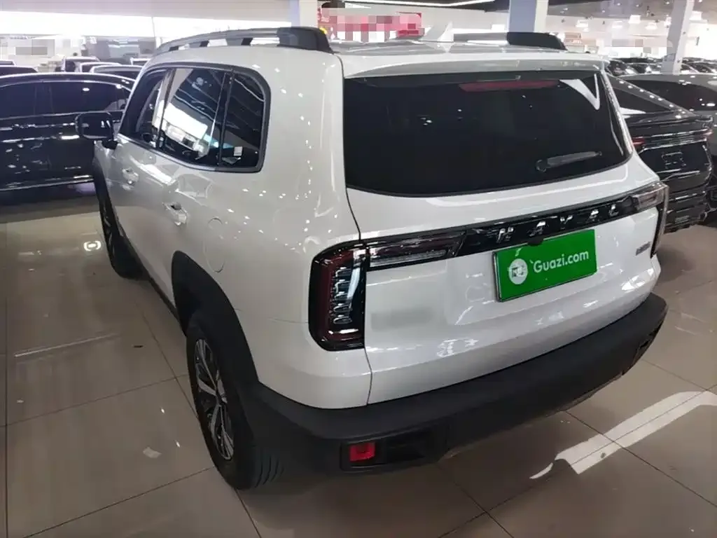 Haval Big Dog 2022 из CN, фото 3