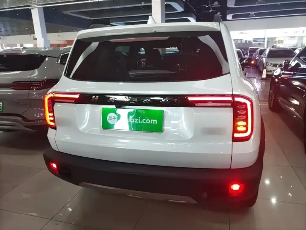 Haval Big Dog 2022 из CN, фото 10