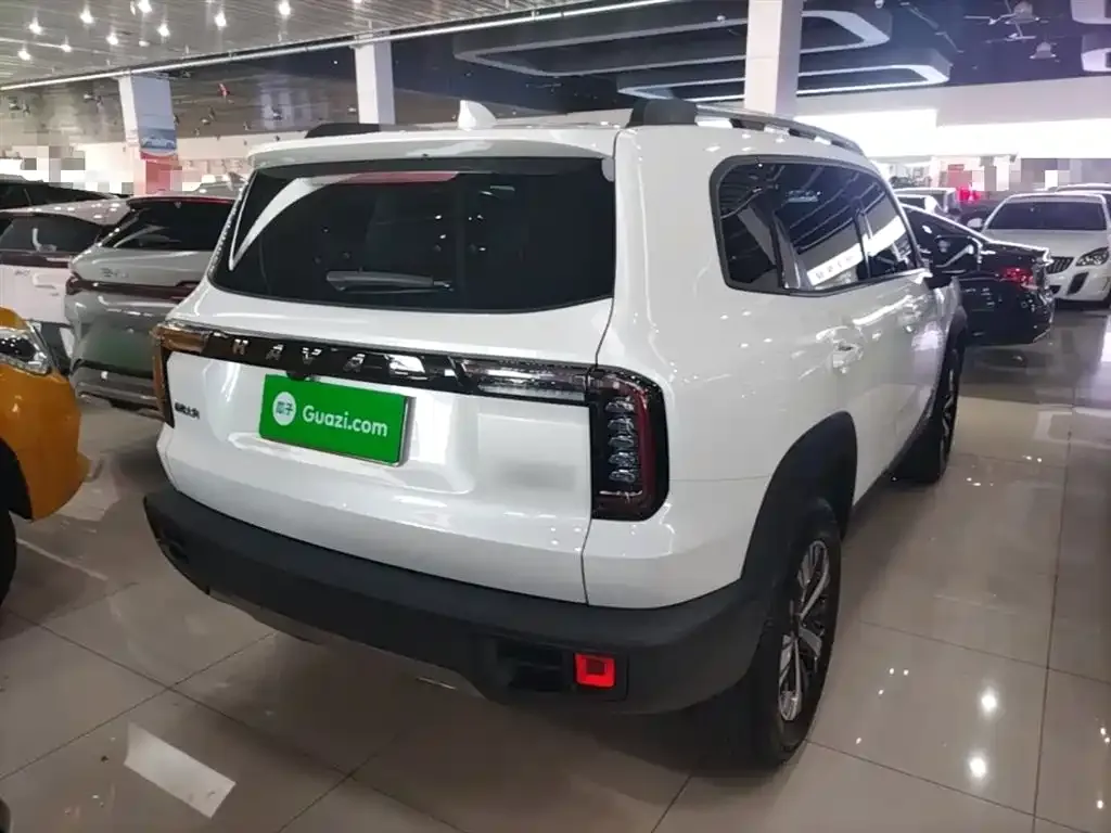 Haval Big Dog 2022 из CN, фото 8