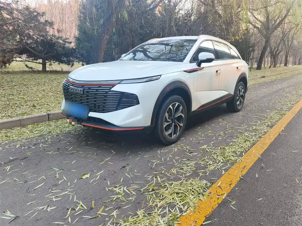 Haval Shenshou 2025 из CN, фото 8