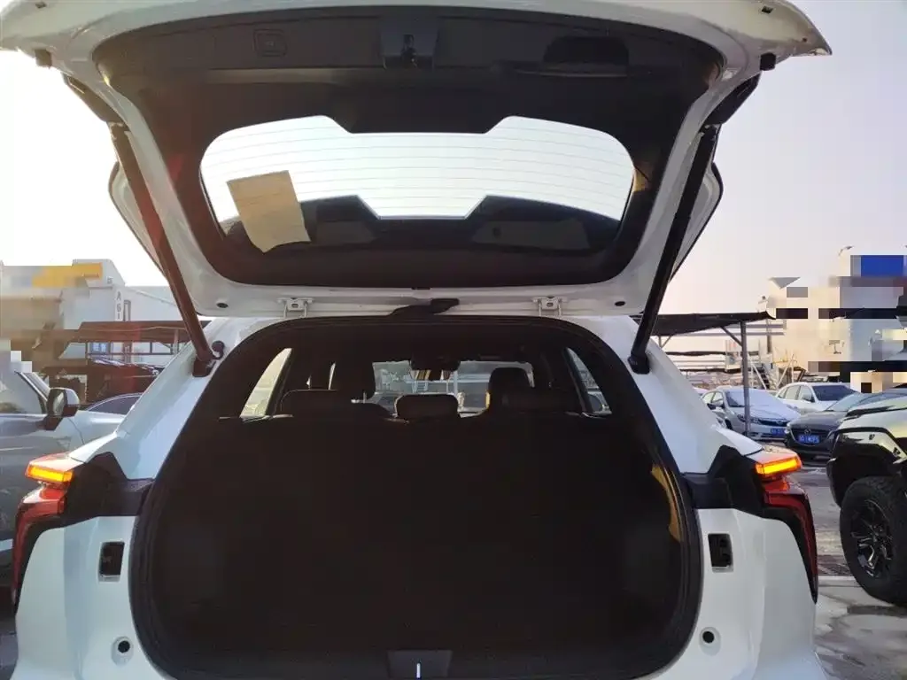 Haval Shenshou 2025 из CN, фото 4