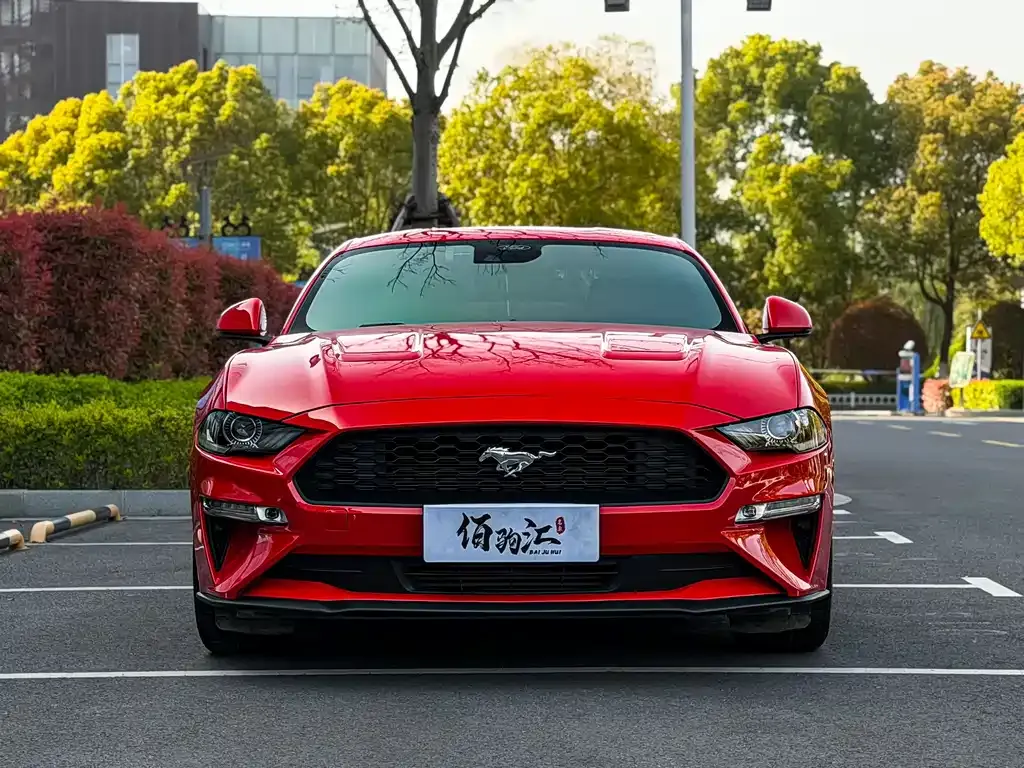 Ford Mustang — фото 6