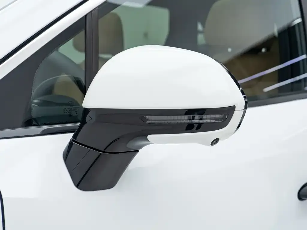 BYD L DM-i 2025 из CN, фото 2