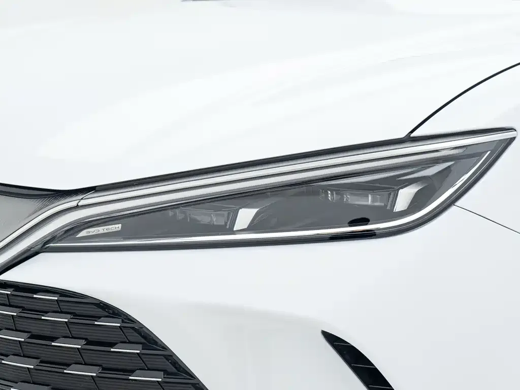 BYD L DM-i 2025 из CN, фото 6