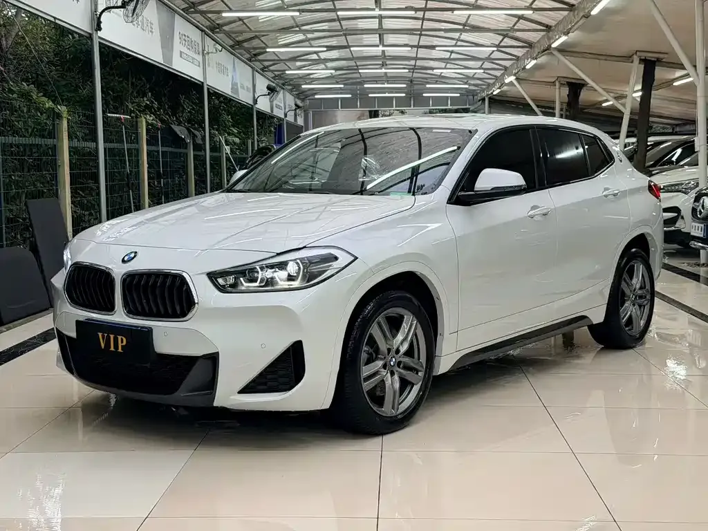 BMW X2 2023 из CN, фото 7