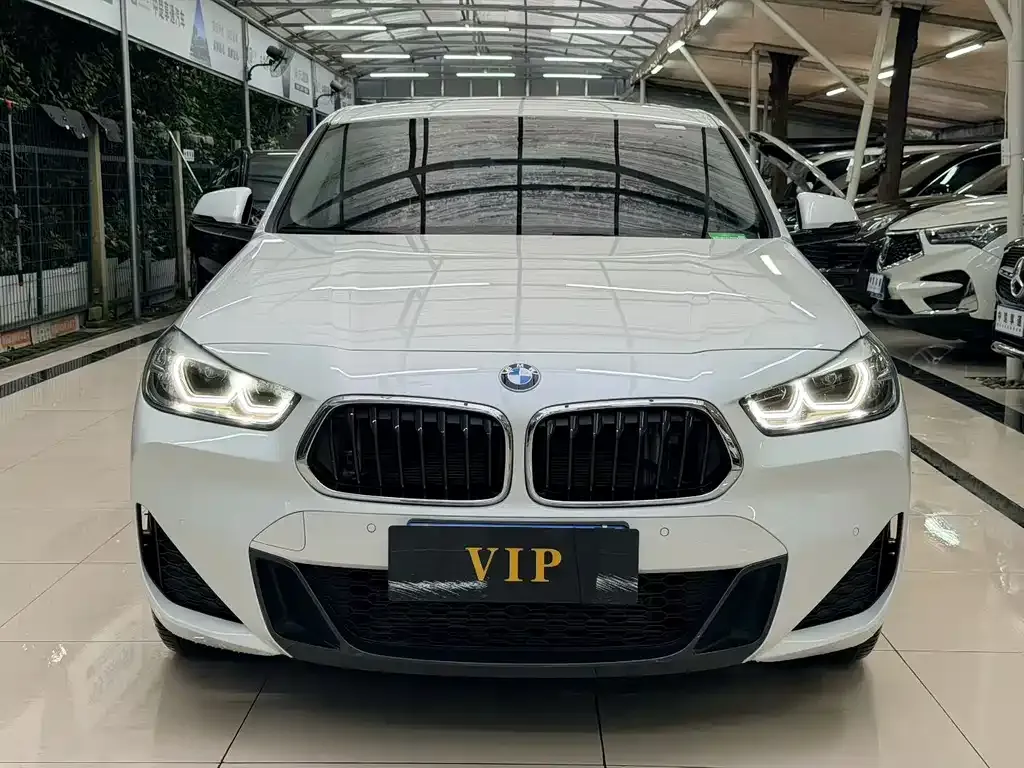 BMW X2 2023 из CN, фото 8