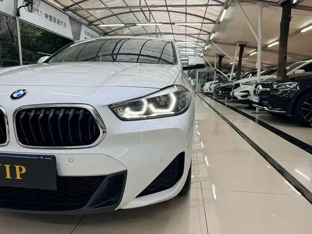 BMW X2 2023 из CN, фото 2