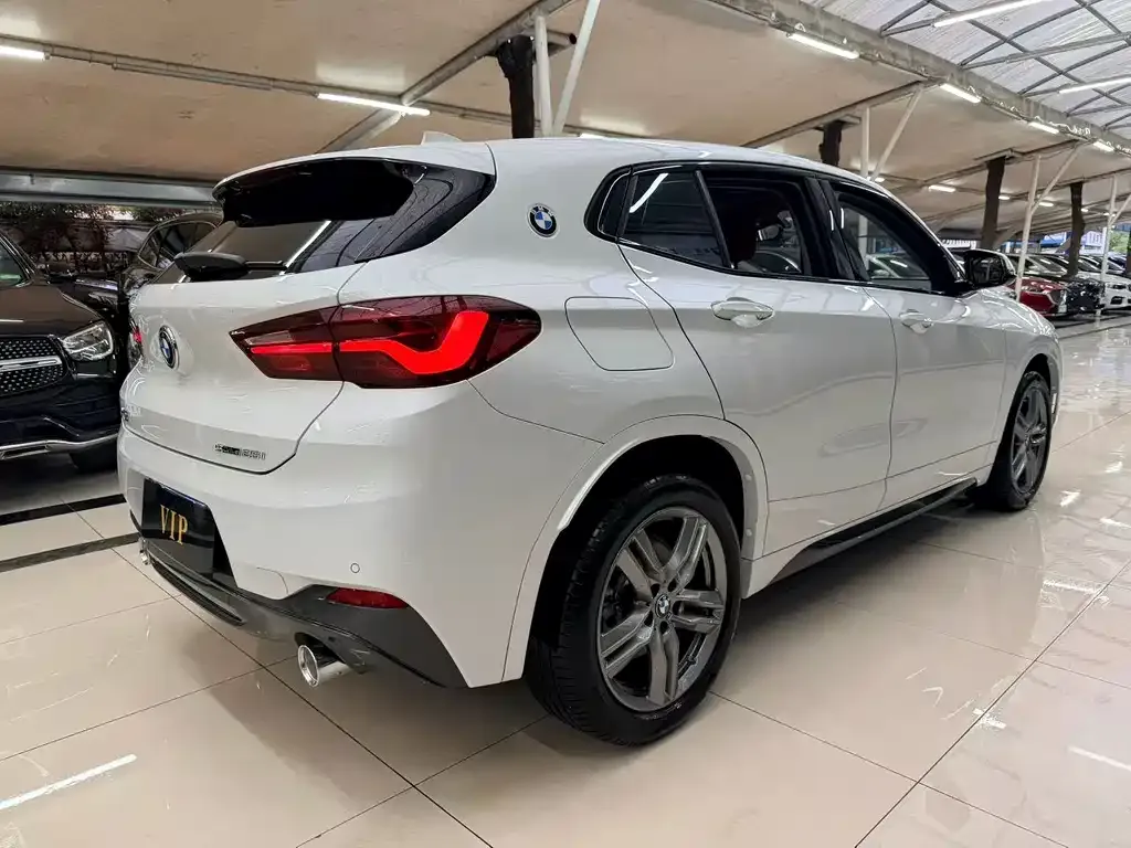 BMW X2 2023 из CN, фото 5