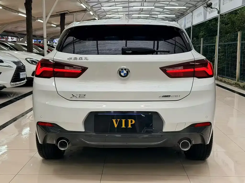 BMW X2 2023 из CN, фото 9
