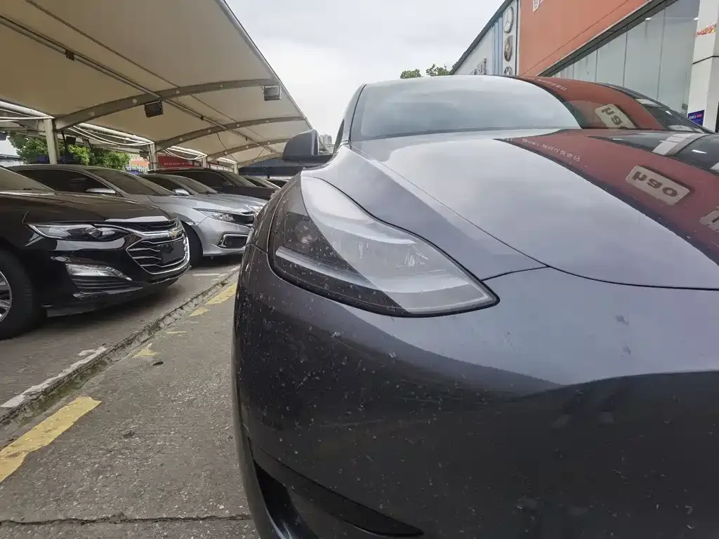 Tesla Model Y — фото 9