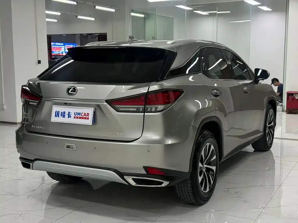 Lexus RX — фото 10