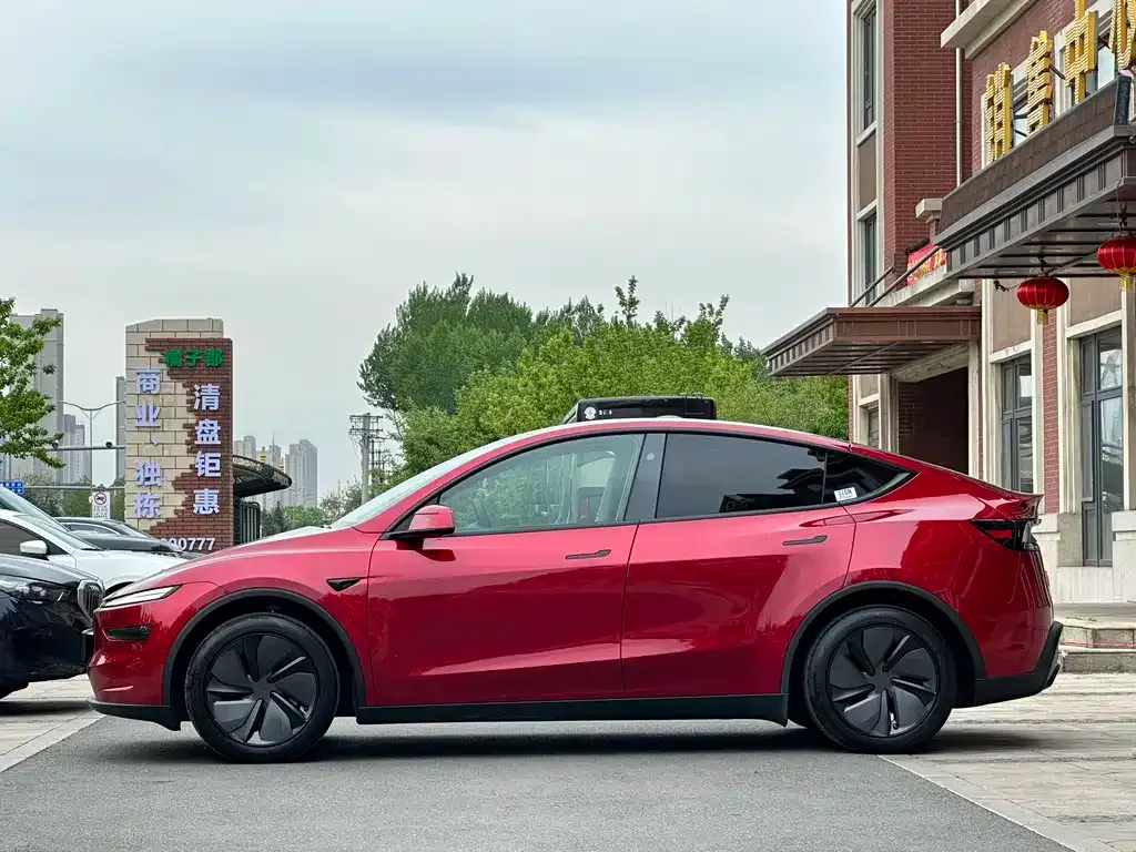 Tesla Model Y — фото 10