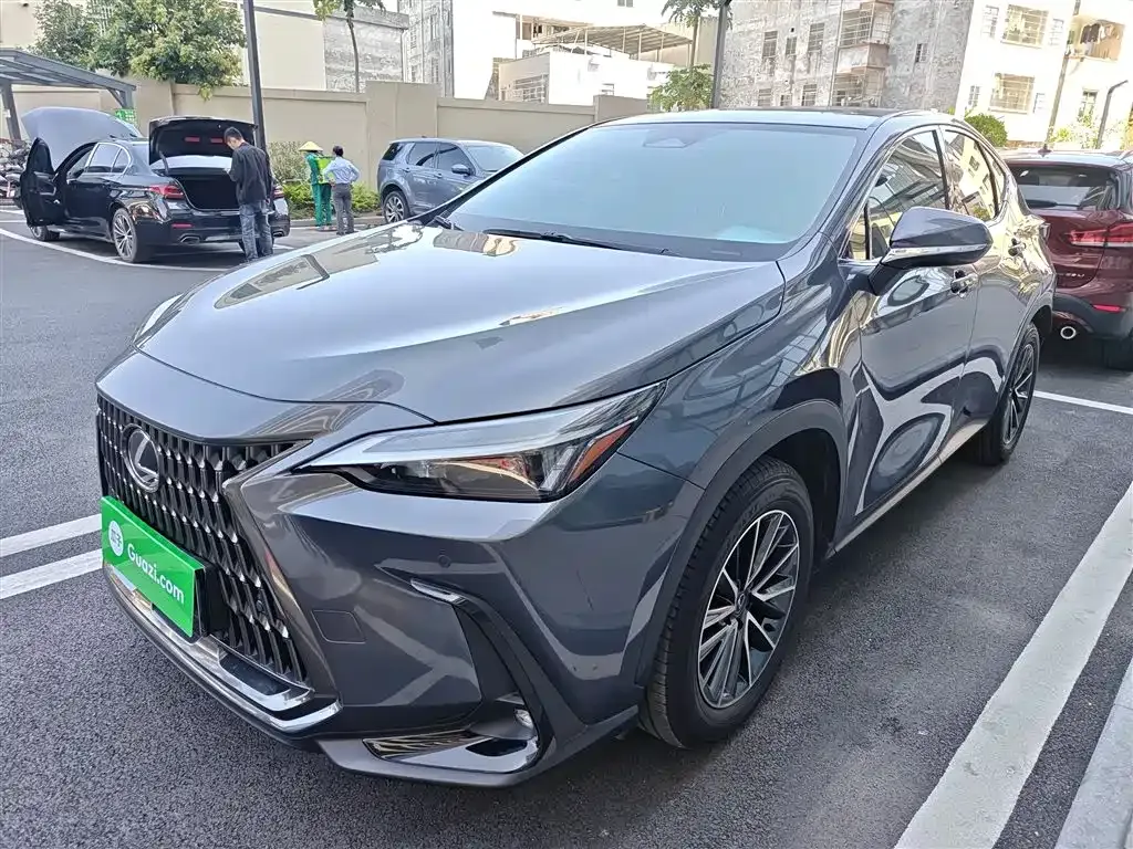 Lexus NX — фото 10