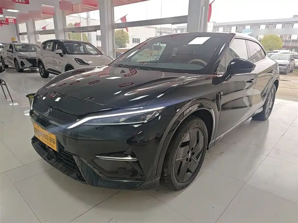 BYD L EV