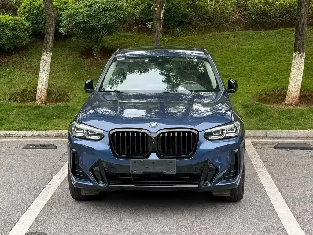 BMW X3 2023 из CN, фото 9