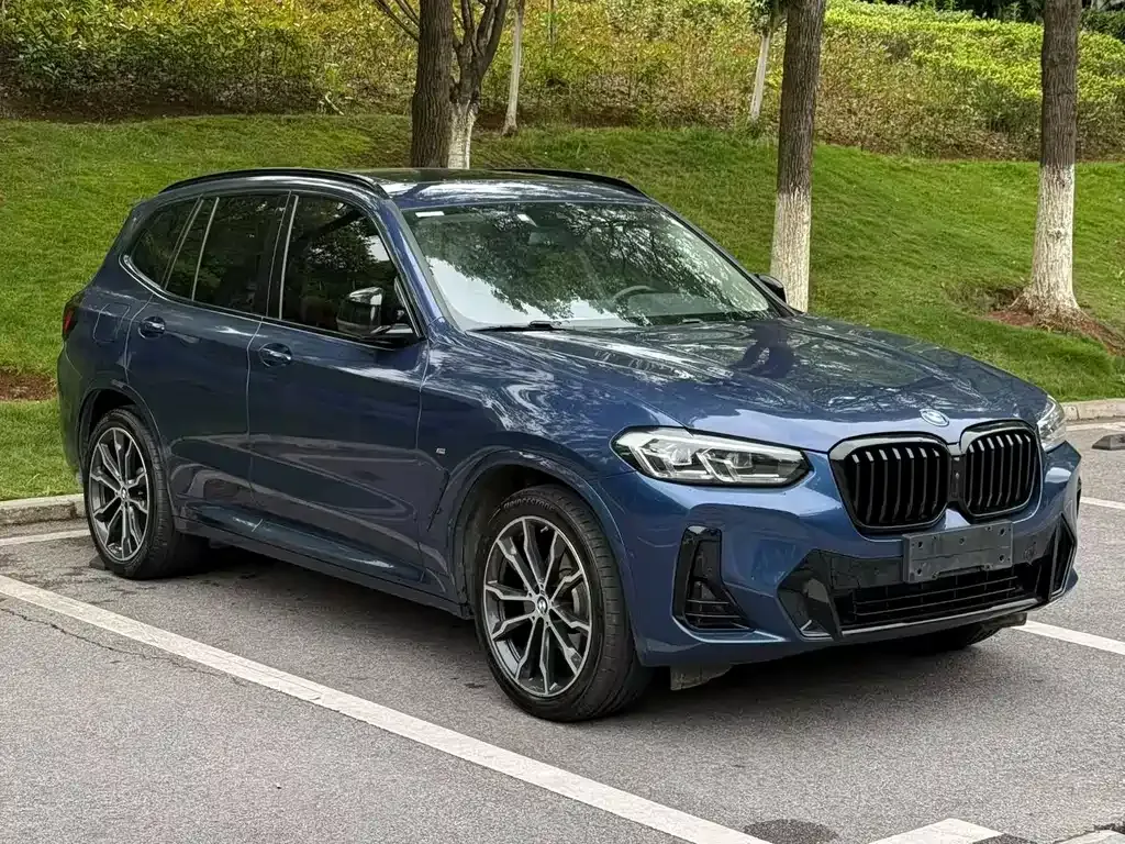 BMW X3 2023 из CN, фото 7