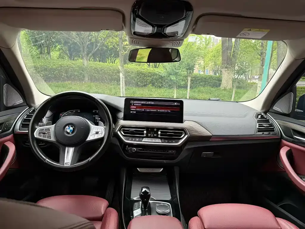 BMW X3 2023 из CN, фото 6