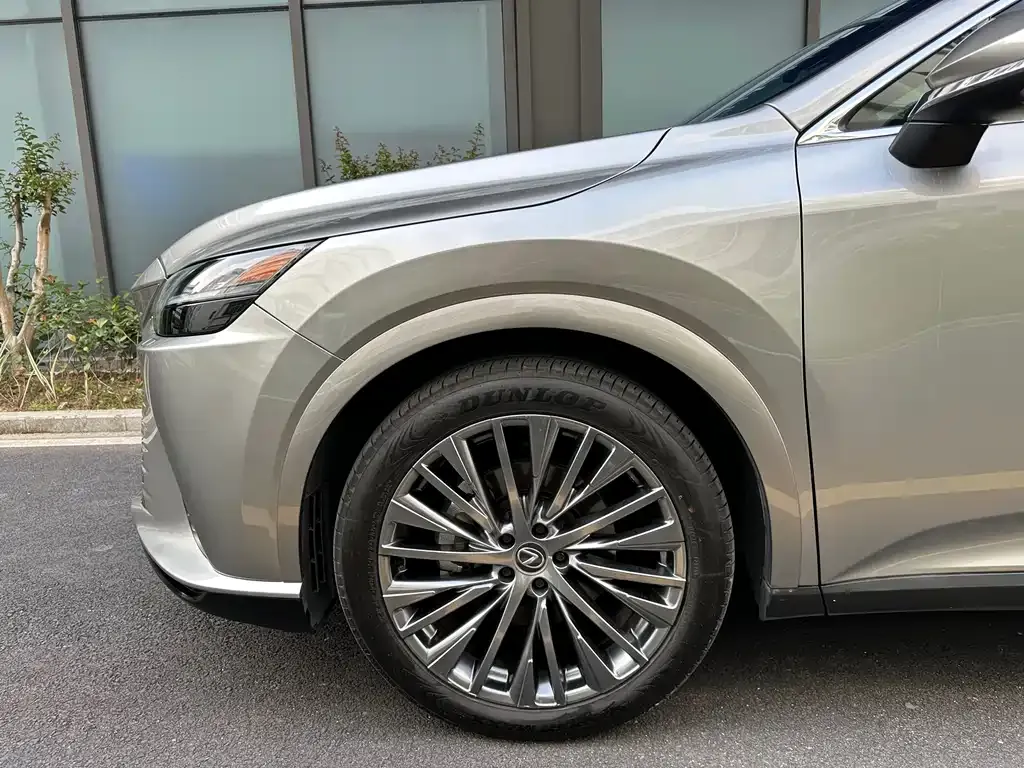 Lexus RX — фото 10