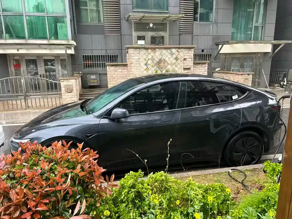 Tesla Model Y — фото 8