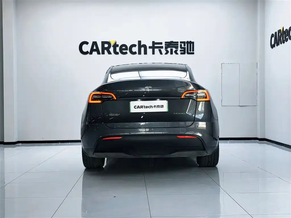 Tesla Model Y — фото 2