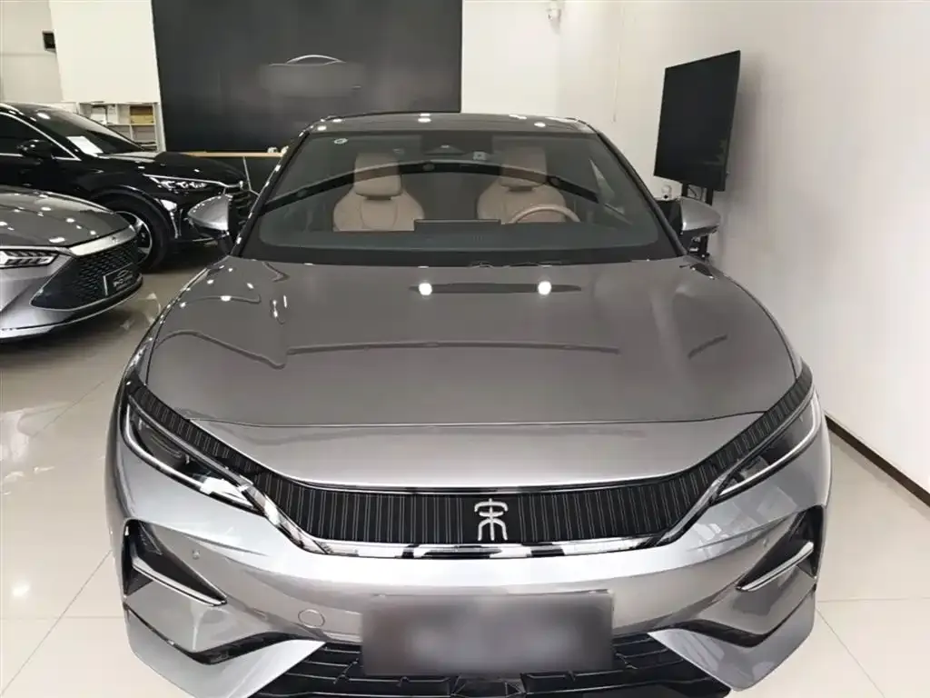 BYD L EV 2024 из CN, фото 2