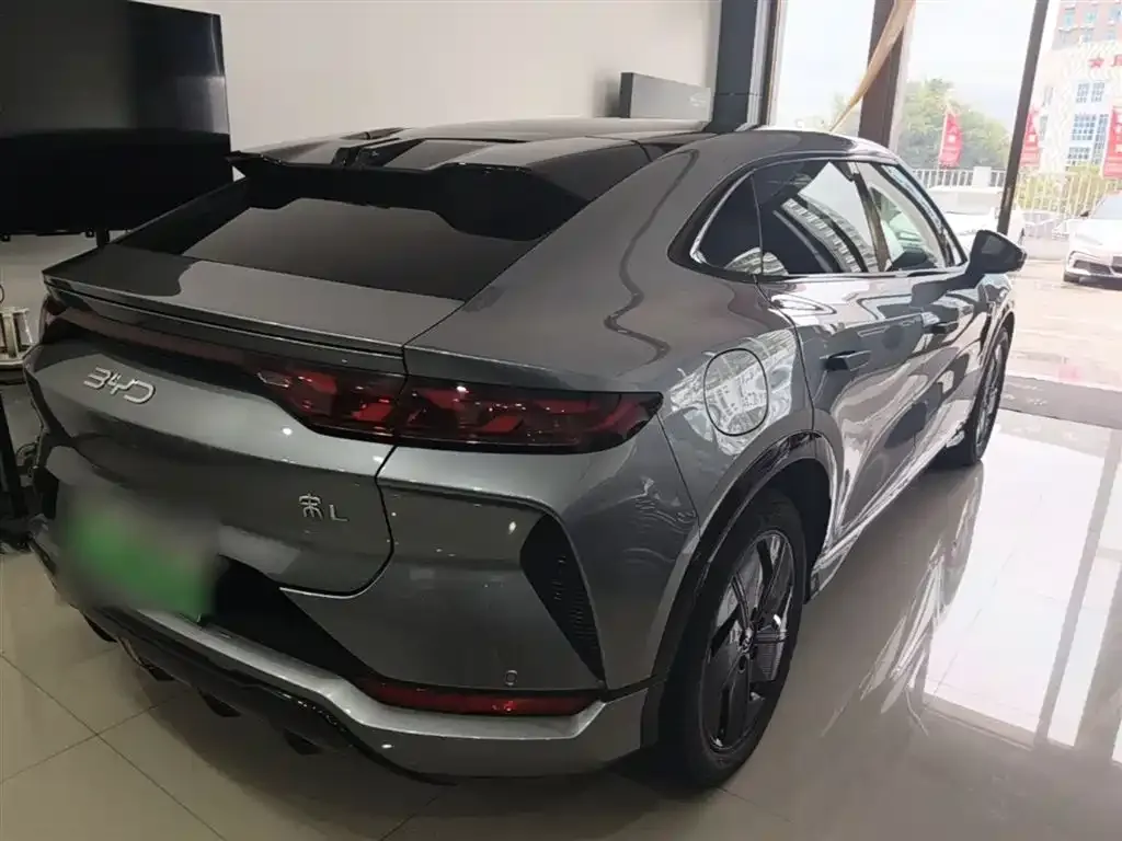 BYD L EV 2024 из CN, фото 5